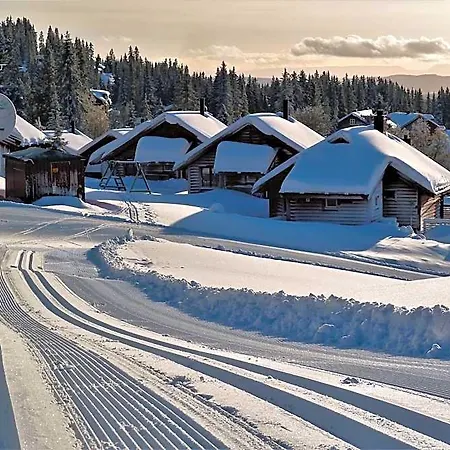 Fjellstue Og 酒店 3*